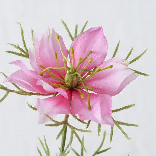 Fil fleur artificielle Nigelle Rose / Vert, Modèles Assortis, H74 cm