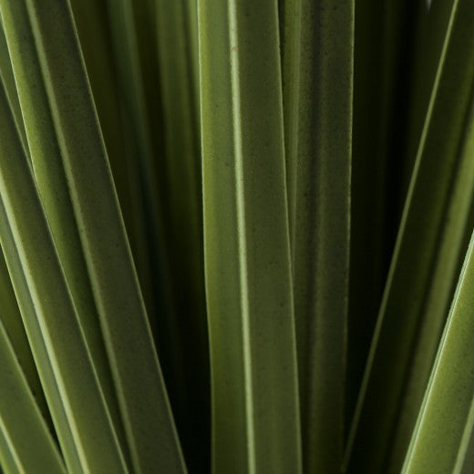Plante artificielle en pot Harisia Verde, H78 cm
