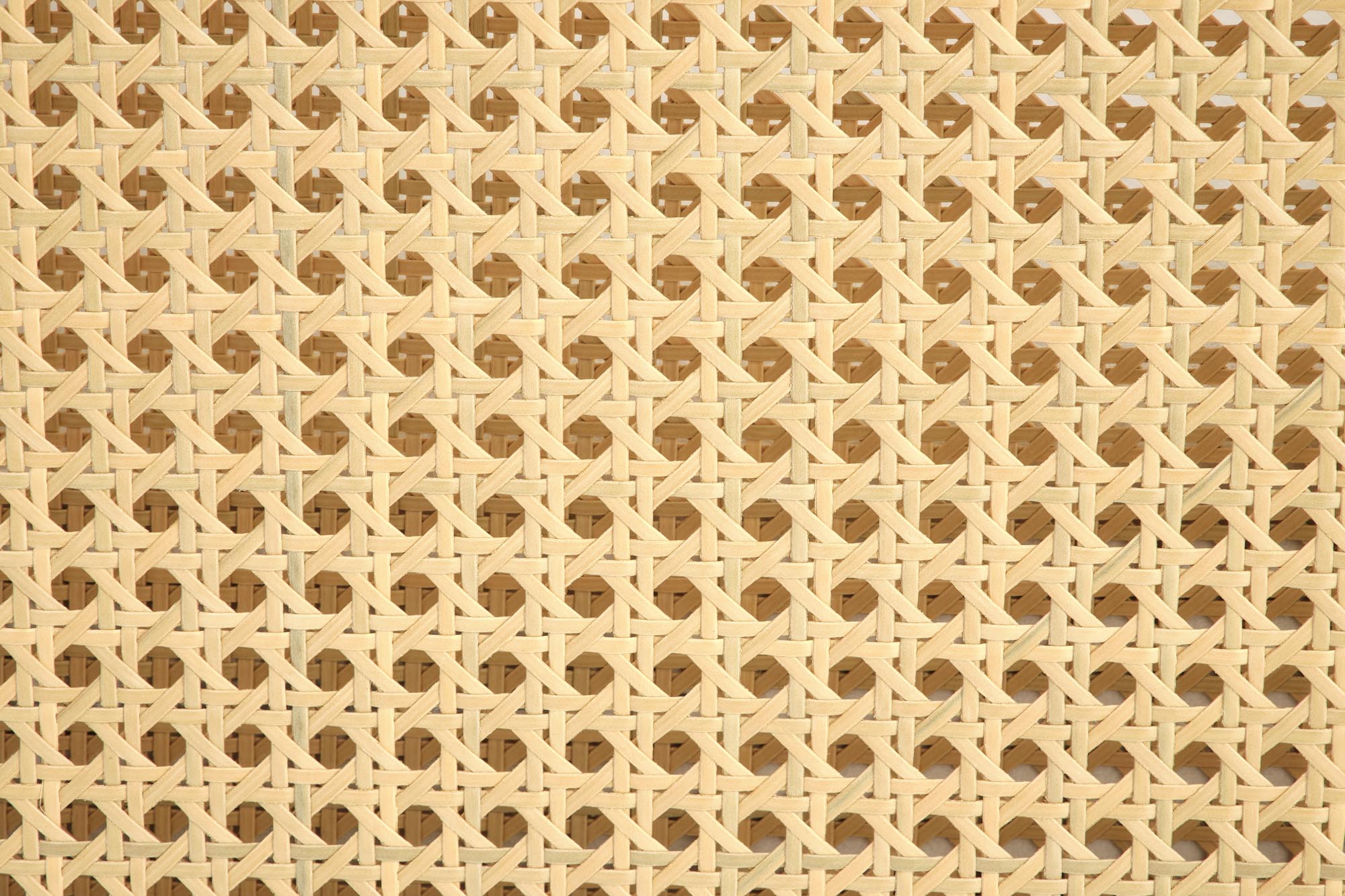 Fotoliu fix tapitat cu stofa, Ilario Velvet Natural / Bej / Negru, l64xA67xH77 cm (4)