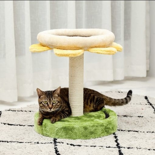 Ensemble de jeu modulable pour chat, Cosy Vert / Beige clair / Jaune, Ø40,5xH52 cm (2)