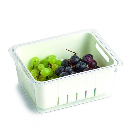 Boîte de rangement réfrigérateur, plastique, Freeze Blanc, L22,5xl17,5xH10 cm