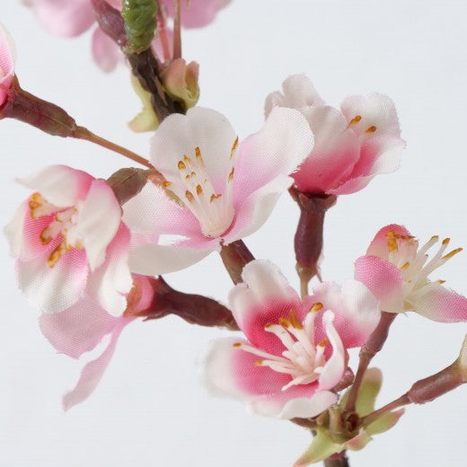 Fil de fleurs artificielles Cherry Blossom Multicolore, H109 cm