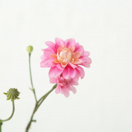 Fil de fleurs artificielles Korbblutler Rose / Vert, H48 cm