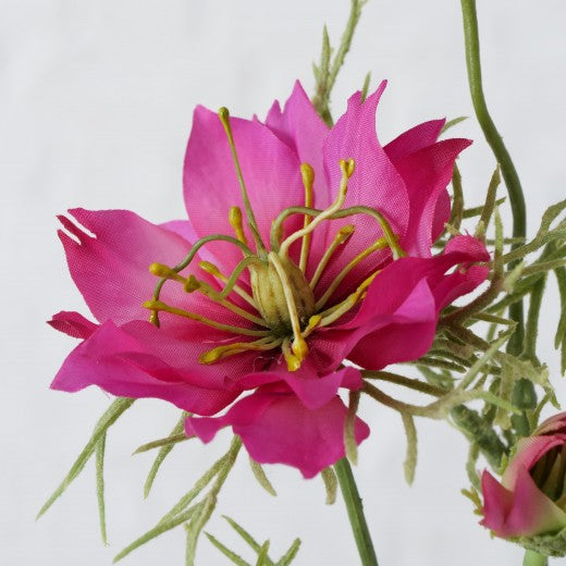 Fil fleur artificielle Nigelle Rose / Vert, Modèles Assortis, H74 cm