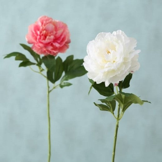 Fleur artificielle Pivoine Blanc / Rose, H66 cm, 2 pièces