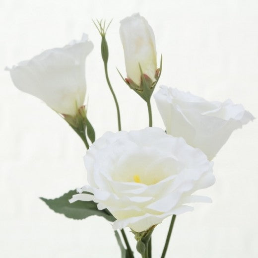 Fleur artificielle Sissy Blanc / Rose, H54 cm, 2 pièces