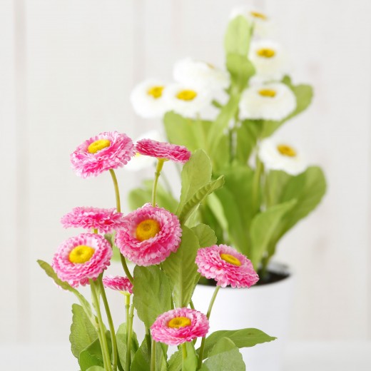 Fleurs artificielles en pot Bellis Multicolore, Modèles Assortis, Ø9xH30 cm