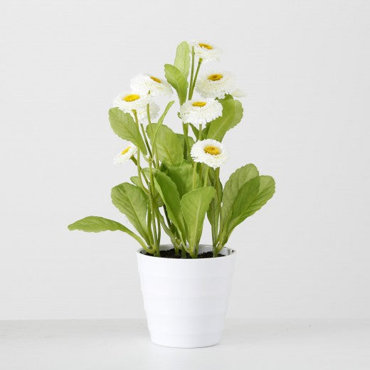 Fleurs artificielles en pot Bellis Multicolore, Modèles Assortis, Ø9xH30 cm