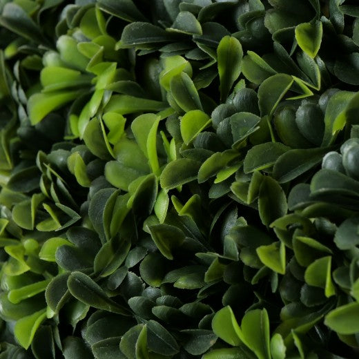 Buis Plante artificielle verte, Ø50xH50 cm