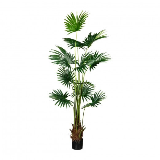 Plante artificielle en pot, Fan Palm Vert, H180 cm