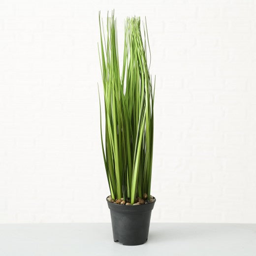 Plante artificielle en pot Herbe Verte / Noire, Modèles Assortis, H54 cm