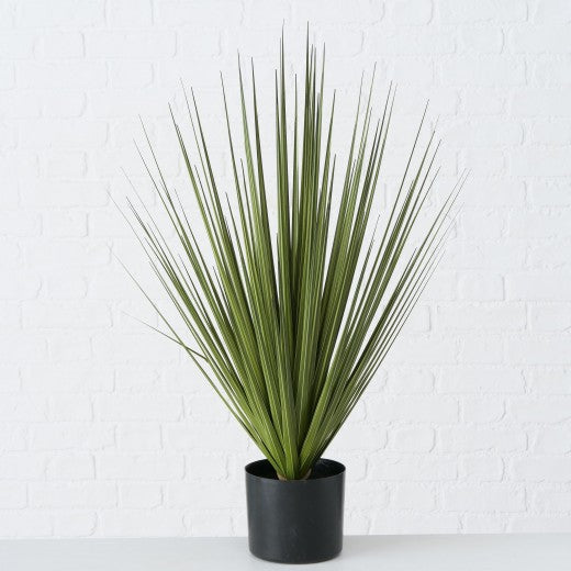 Plante artificielle en pot Harisia Verde, H78 cm