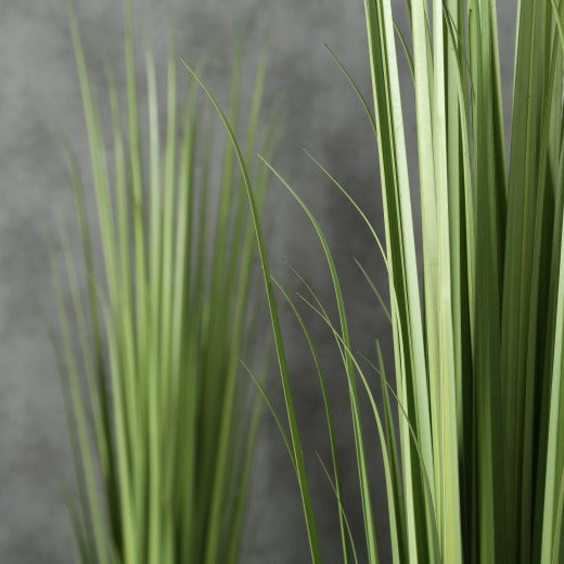 Plante artificielle en pot Siri Bajra Verde, H182 cm