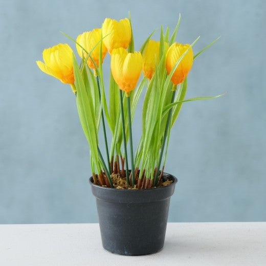 Plante artificielle en pot Tulipe Jaune / Verte, H20 cm