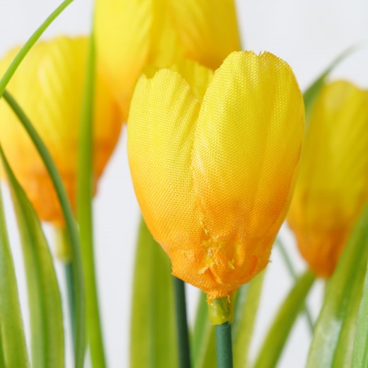 Plante artificielle en pot Tulipe Jaune / Verte, H20 cm