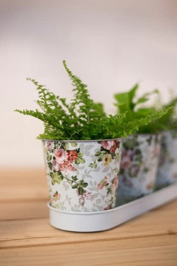 Set de 3 pots avec plateau en métal, Rose Small Pastel, L32xl10,6xH10,9 cm