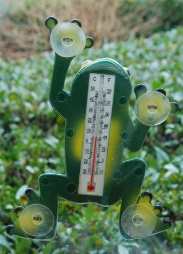 Thermomètre d'extérieur à ventouses, plastique, Grenouille verte